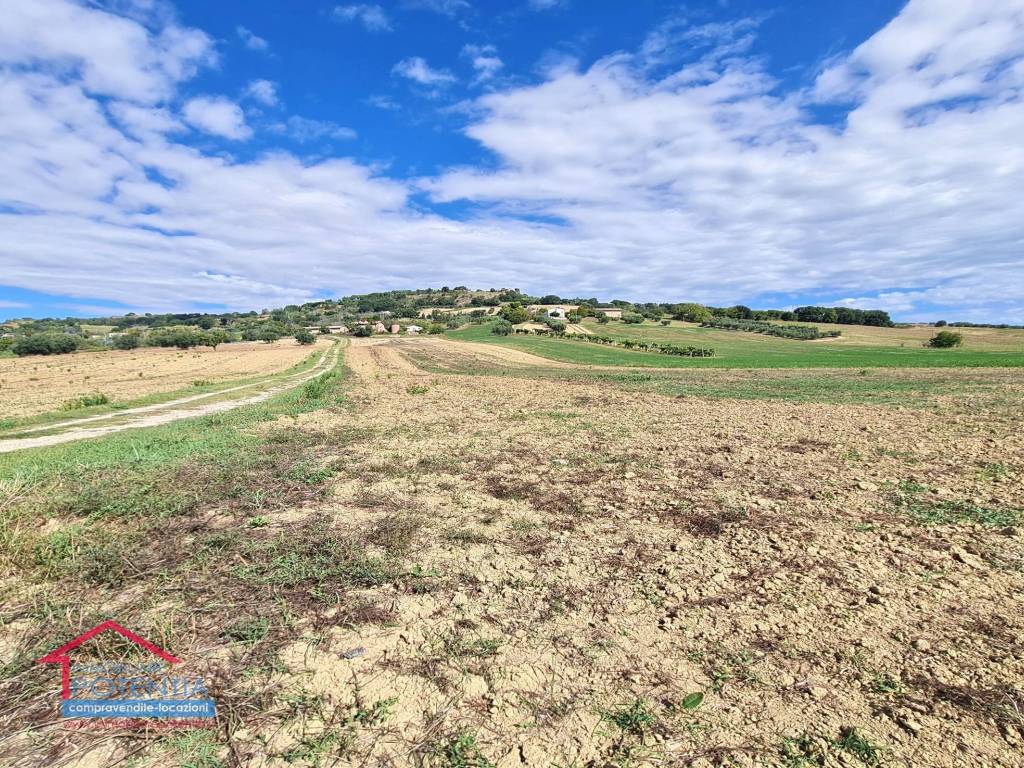 Terreno a Potenza picena in Contrada Asola - Foto 3