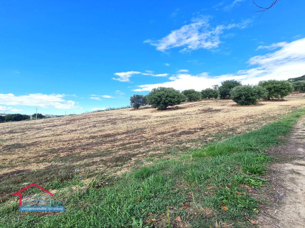 Terreno a Potenza picena in Contrada Asola - Foto 5