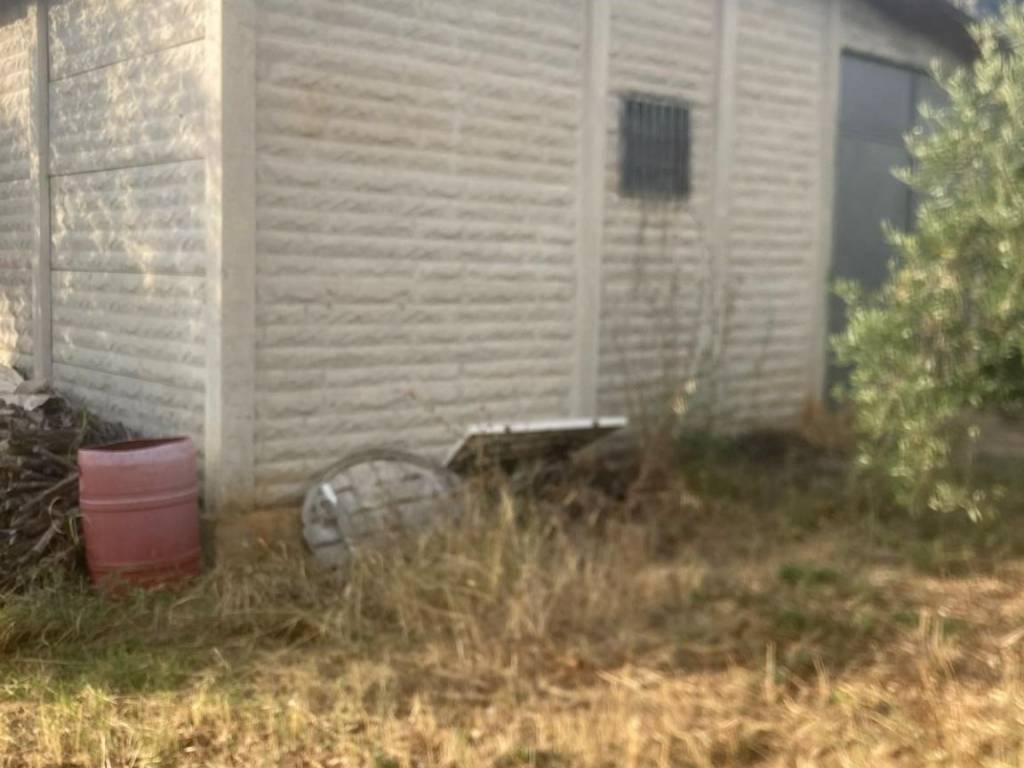 Terreno a Sermoneta in Pelliccio - Foto 2