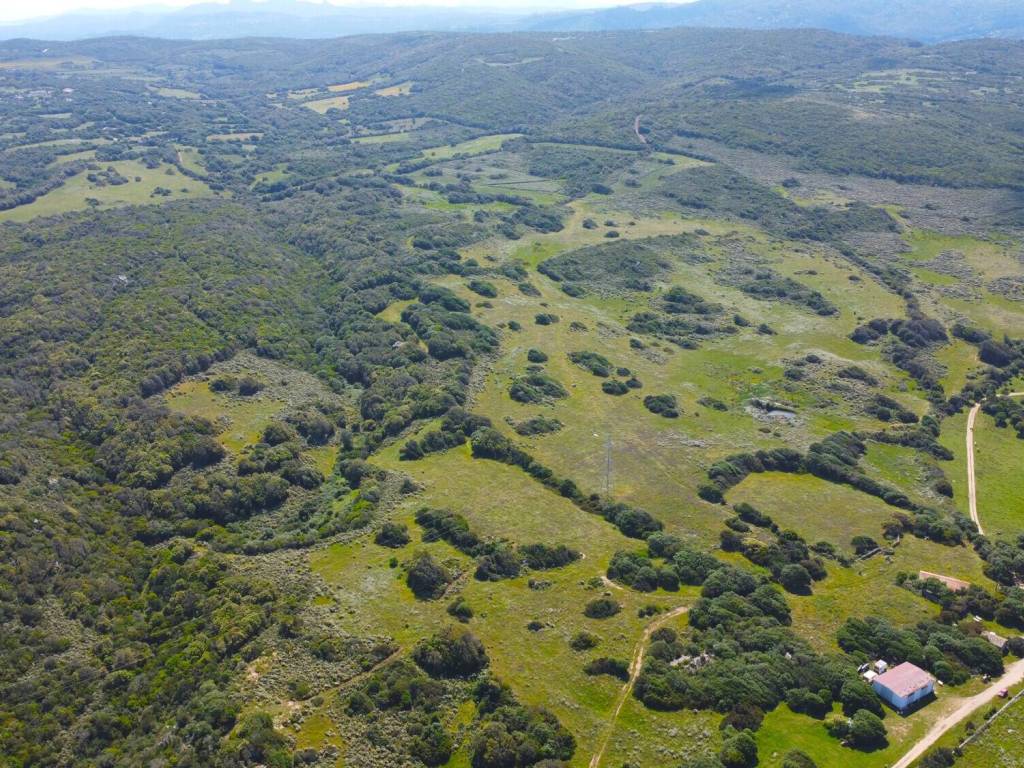 Terreno a Santa teresa gallura - Foto 5