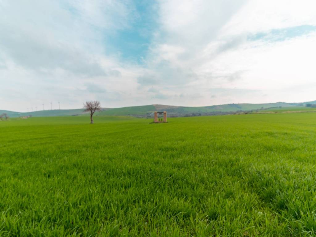 Rustico / casale a Biccari in Contrada Sterparo Mascia - Foto 3