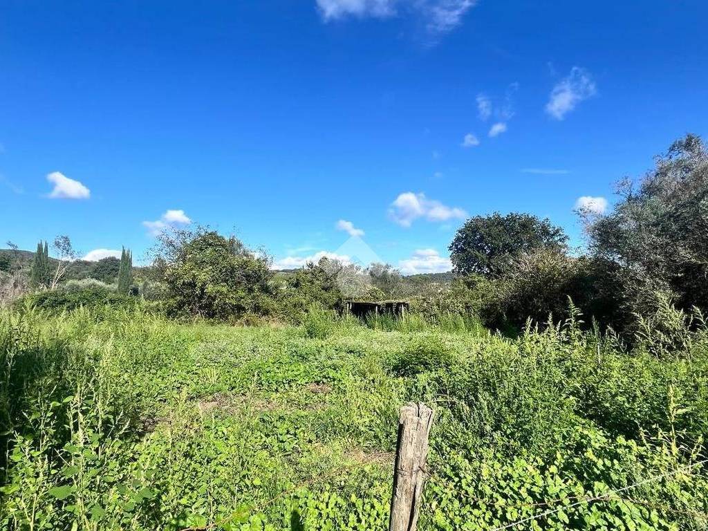 Terreno a Trevignano romano in Via Portello - Foto 2
