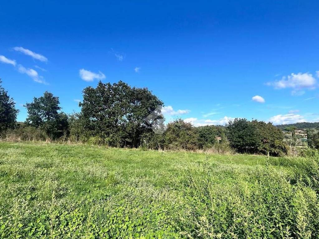 Terreno a Trevignano romano in Via Portello - Foto 3