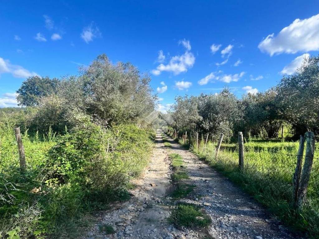 Terreno a Trevignano romano in Via Portello - Foto 4
