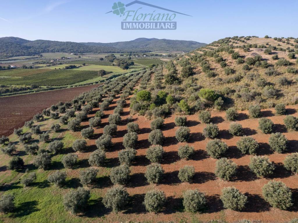 Terreno a Capalbio in Strada Pedemontana - Foto 3