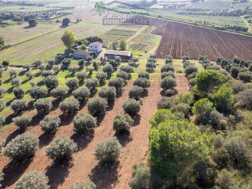 Terreno a Capalbio in Strada Pedemontana - Foto 4