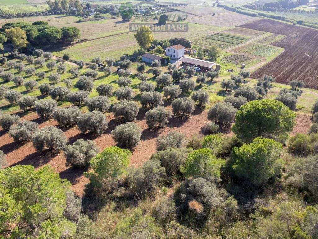 Terreno a Capalbio in Strada Pedemontana - Foto 5