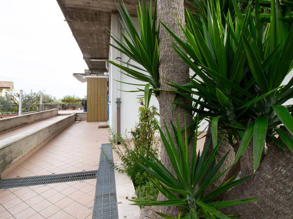 Appartamento a Giulianova in Via Pellicciardi, 30 - Foto 2