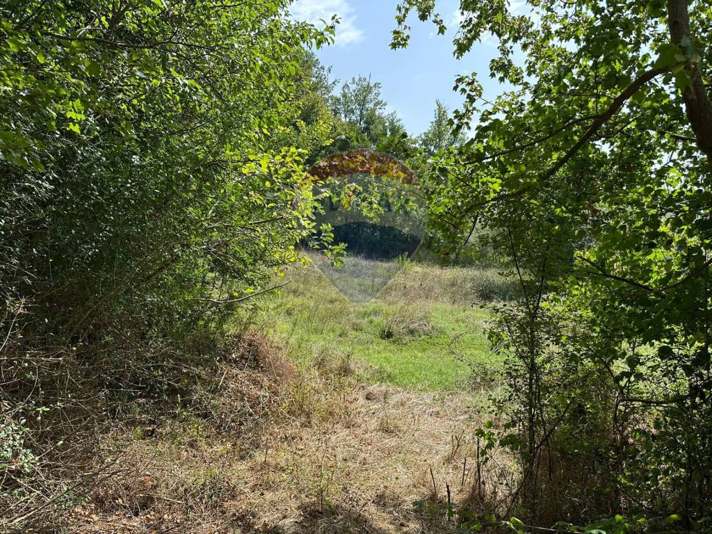 Terreno a Colli a volturno in Via IV Novembre - Foto 4