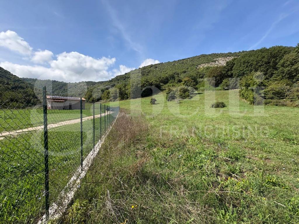 Terreno a Segni in Via Carpinetana Ovest, snc - Foto 2