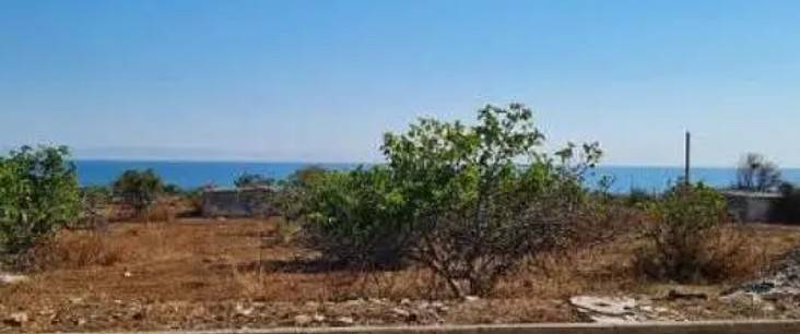 Terreno a Polignano a mare - Foto 4