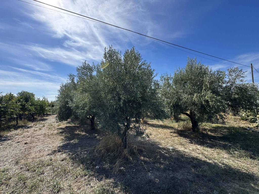 Terreno a Lamezia terme in Via Alida Nucifero - Foto 2