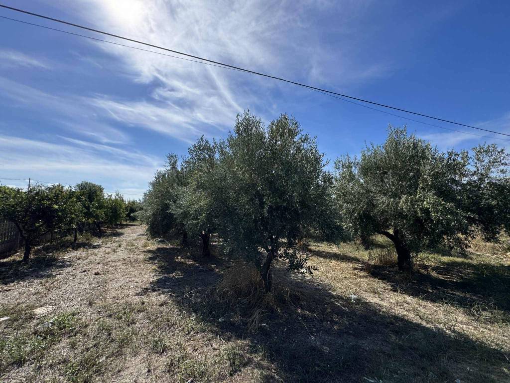 Terreno a Lamezia terme in Via Alida Nucifero - Foto 3