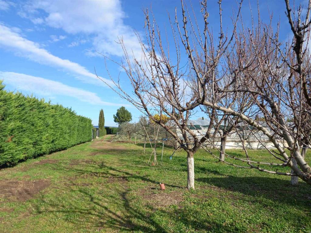 Terreno a Rosignano marittimo - Foto 2
