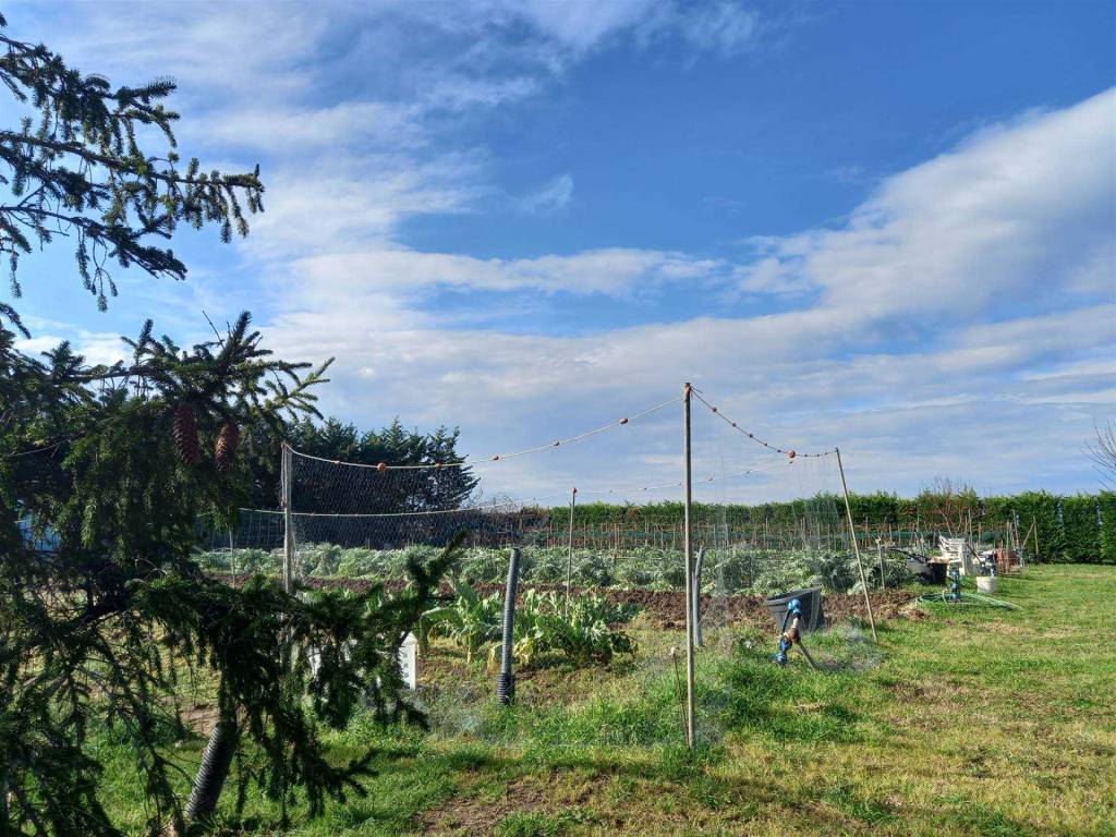 Terreno a Rosignano marittimo - Foto 3