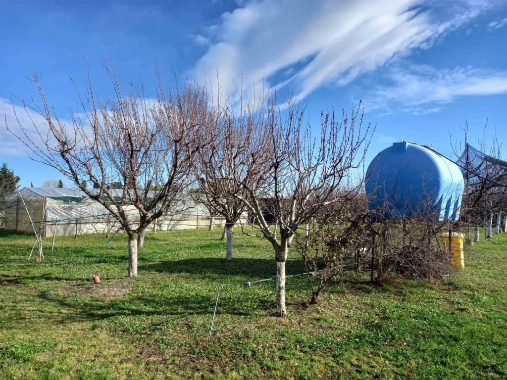 Terreno a Rosignano marittimo - Foto 5