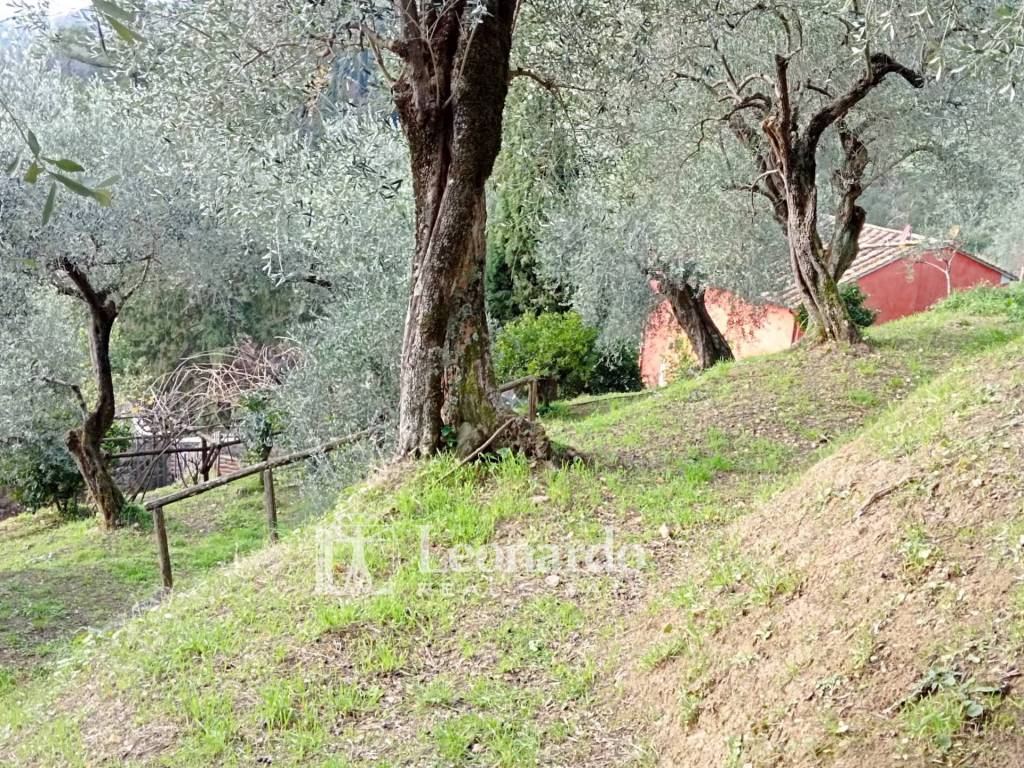 Casa indipendente a Massarosa in Via delle Selvarelle - Foto 3
