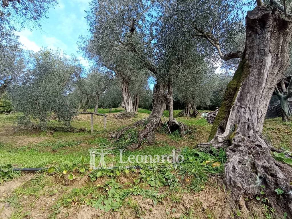 Casa indipendente a Massarosa in Via delle Selvarelle - Foto 4