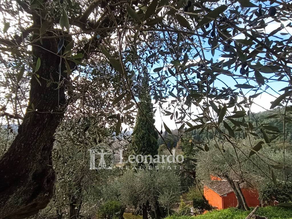 Casa indipendente a Massarosa in Via delle Selvarelle - Foto 5