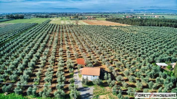 Terreno a Piombino in Via della Bonifica - Foto 2