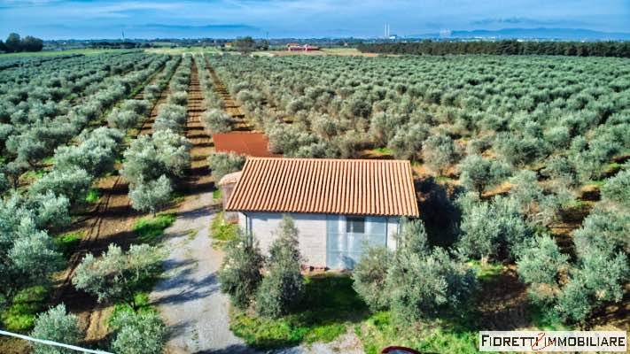Terreno a Piombino in Via della Bonifica - Foto 3
