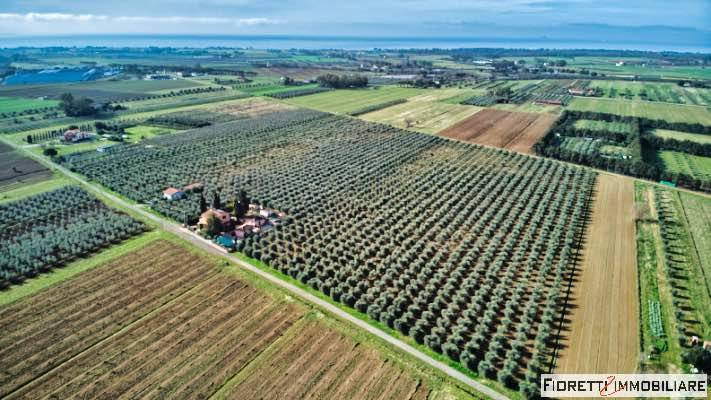 Terreno a Piombino in Via della Bonifica - Foto 4