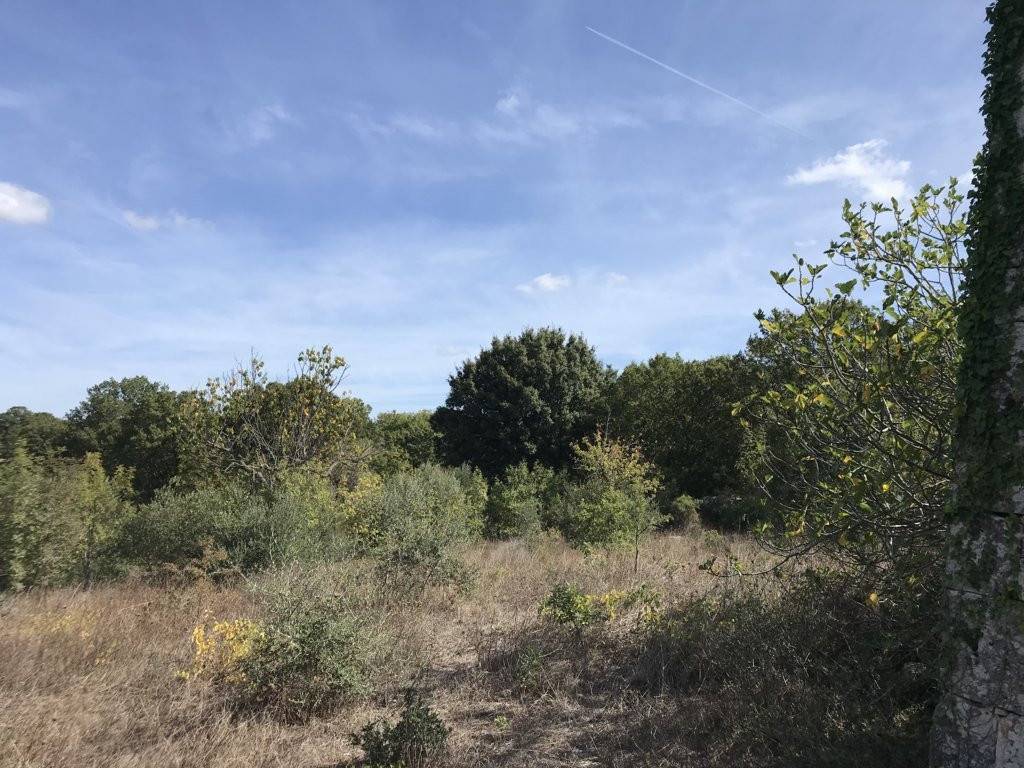 Rustico / casale a Ostuni in Contrada San Salvatore - Foto 4