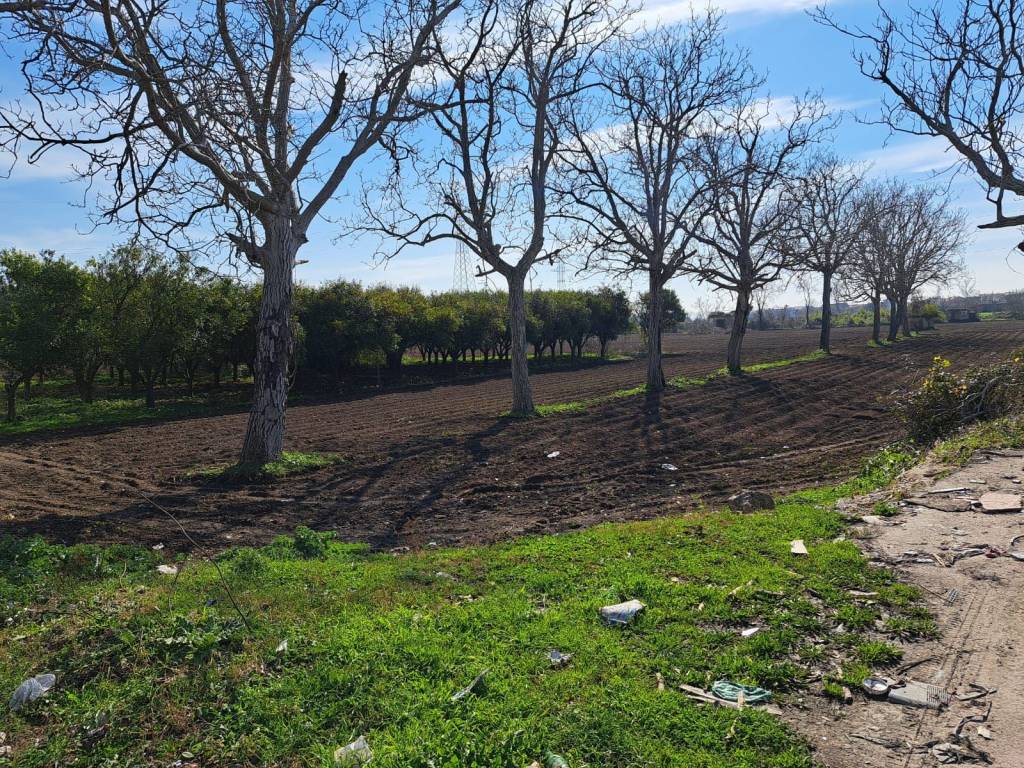 Terreno a Maddaloni in Via Nazionale Appia, 517 - Foto 2
