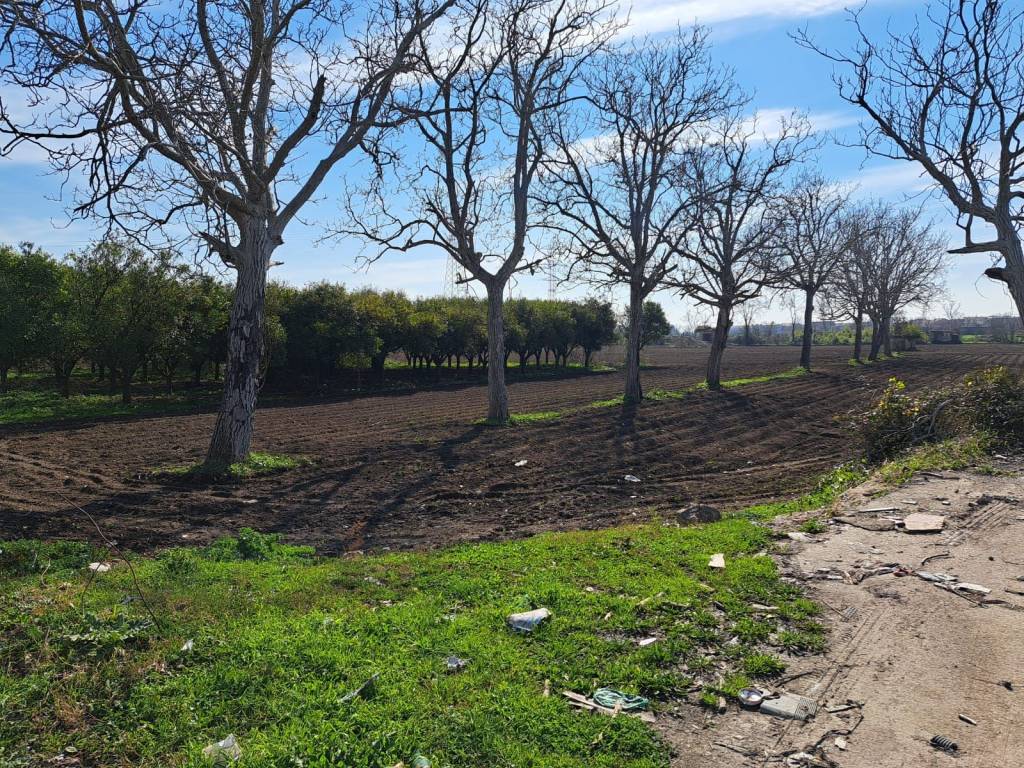 Terreno a Maddaloni in Via Nazionale Appia, 517 - Foto 3
