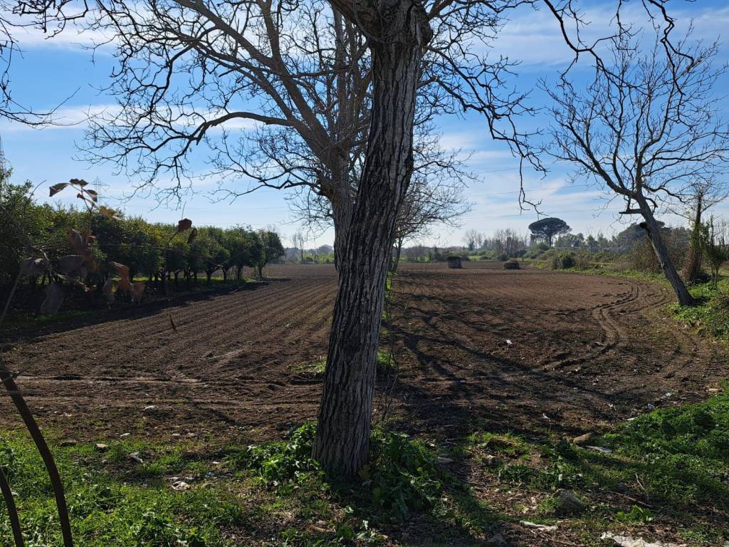Terreno a Maddaloni in Via Nazionale Appia, 517 - Foto 4