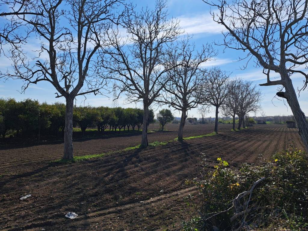 Terreno a Maddaloni in Via Nazionale Appia, 517 - Foto 5
