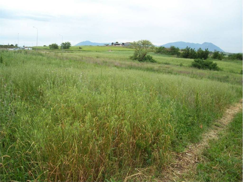 Villa a Pietrelcina in Pietrelcina - Foto 3