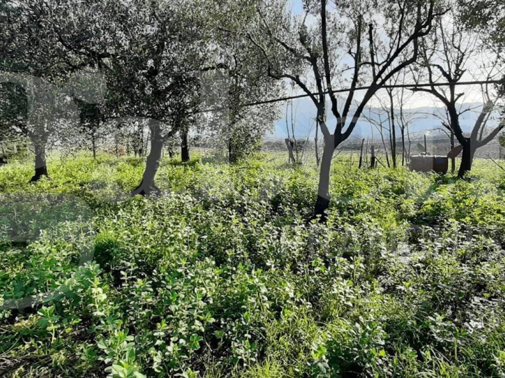 Villa a Teano in Contrada Palmieri, 2 - Foto 4