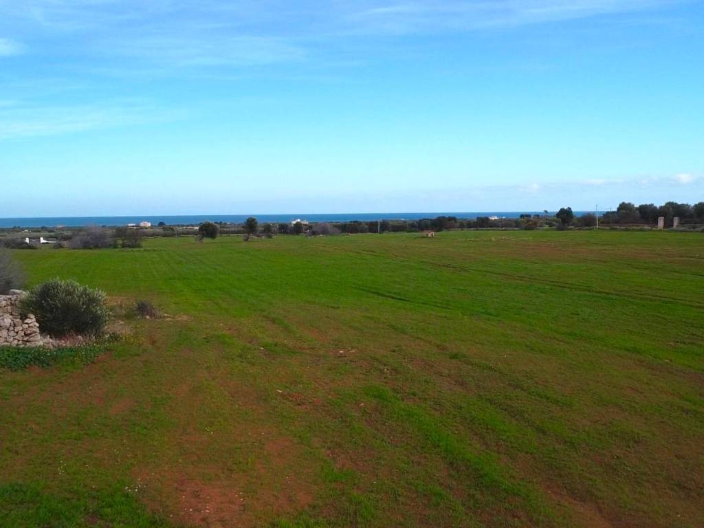 Terreno a Fasano in Contrada Cerasina - Foto 2