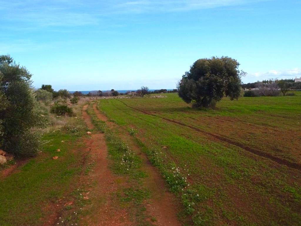 Terreno a Fasano in Contrada Cerasina - Foto 3