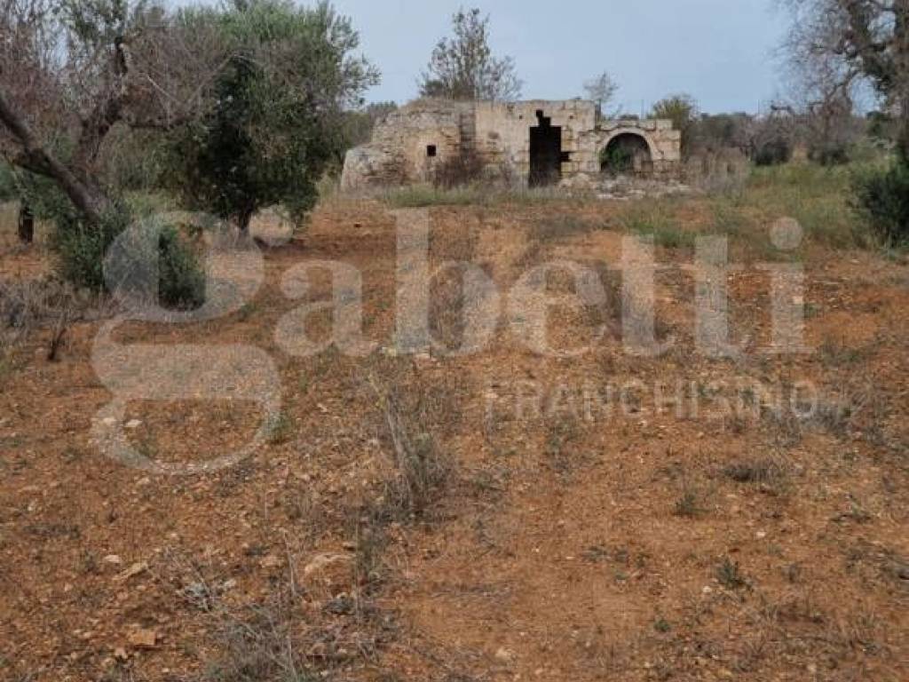 Terreno a Carovigno in contrada colombo, 1 - Foto 3