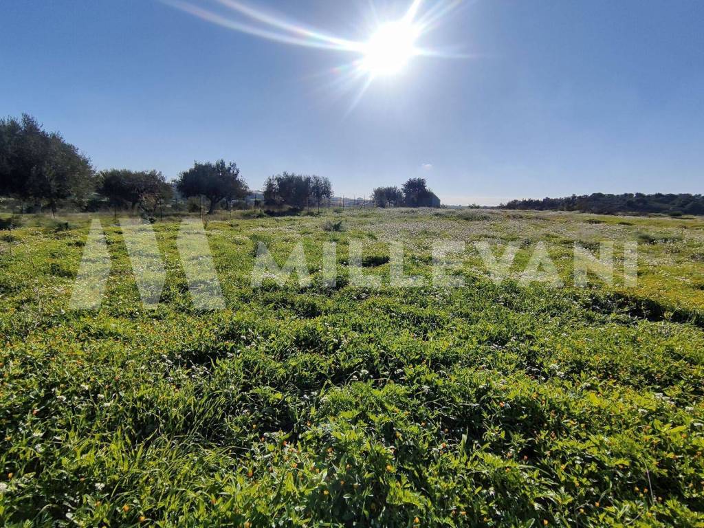 Terreno a Scicli in Contrada Gurgazzi - Foto 3