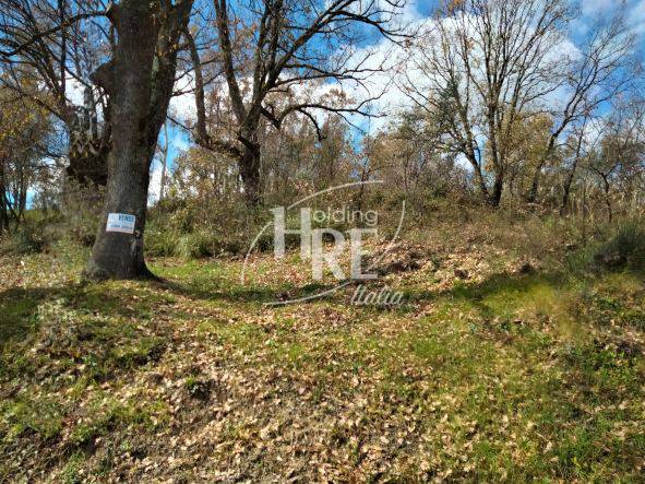 Terreno a Rende in Contrada Sant'Agostino - Foto 2