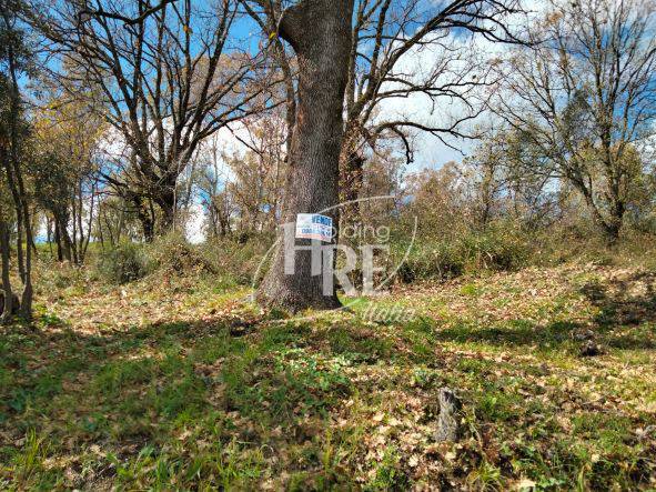 Terreno a Rende in Contrada Sant'Agostino - Foto 3