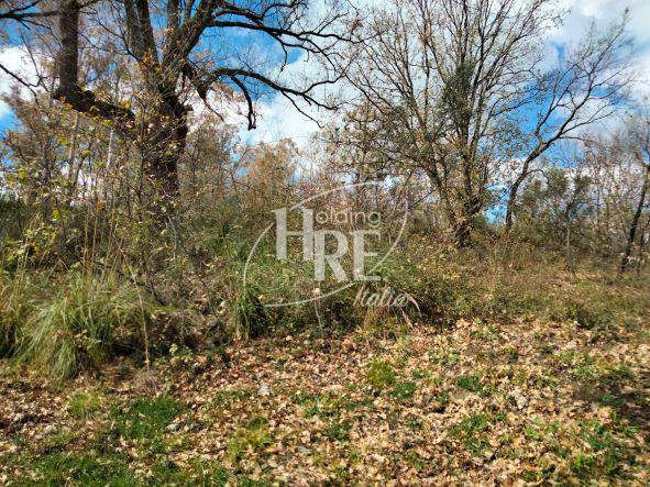 Terreno a Rende in Contrada Sant'Agostino - Foto 4
