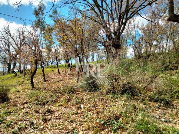 Terreno a Rende in Contrada Sant'Agostino - Foto 5