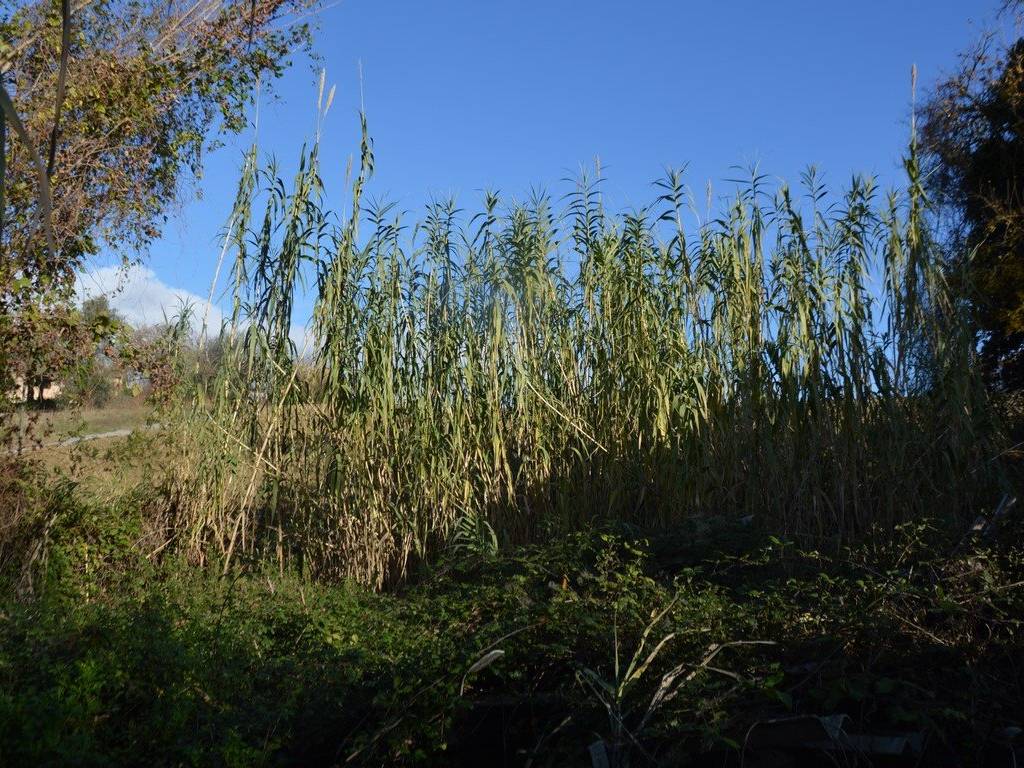 Rustico / casale a Castelfidardo - Foto 3