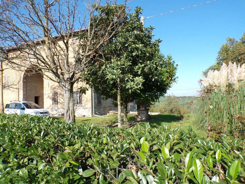 Rustico / casale a Castelvetro di modena - Foto 4