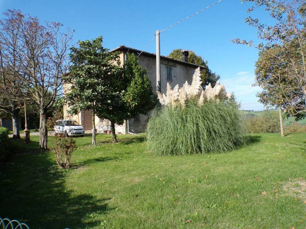 Rustico / casale a Castelvetro di modena - Foto 5