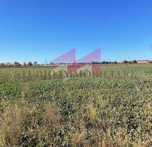 Terreno a Ceneselli - Foto 2