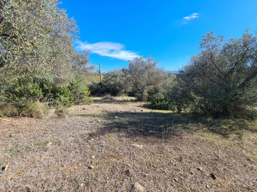 Terreno a Dolianova in SP14 - Foto 2
