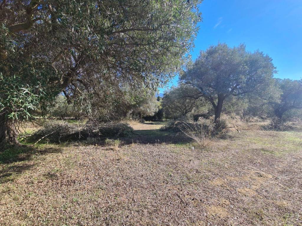 Terreno a Dolianova in SP14 - Foto 3