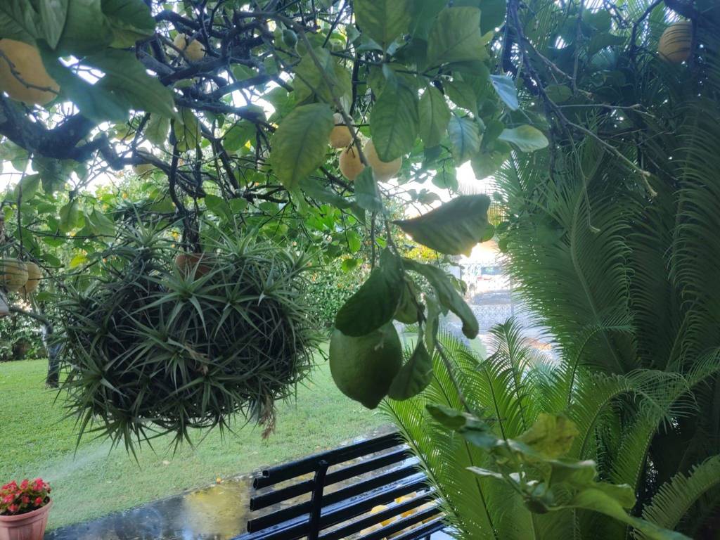 Appartamento a San felice circeo in Via dei Caprioli - Foto 2