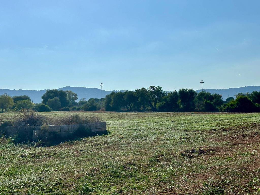 Terreno a Fasano in Via Eroi dello Spazio, 107 - Foto 3