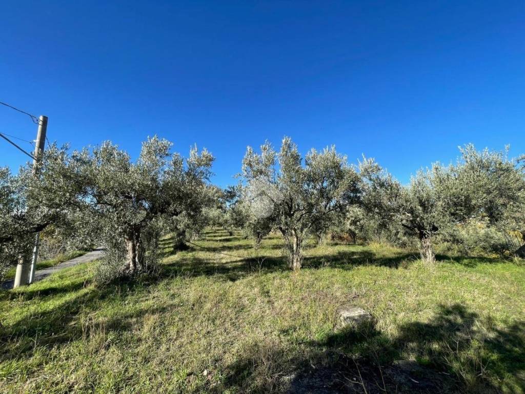 Terreno a San pietro in guarano in Via Padula, 4 - Foto 3